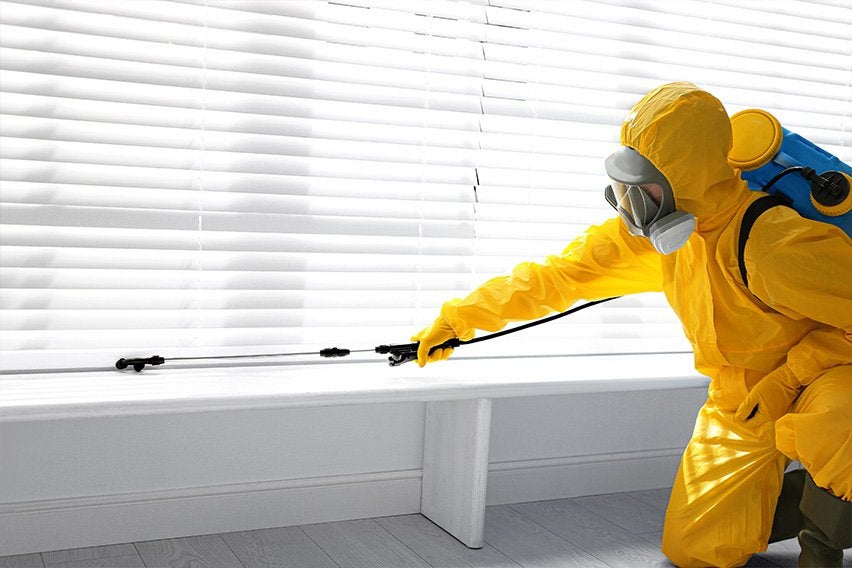 Pest Control Company in Mississauga